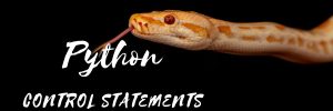 Python Control Statements | Outshine Labs